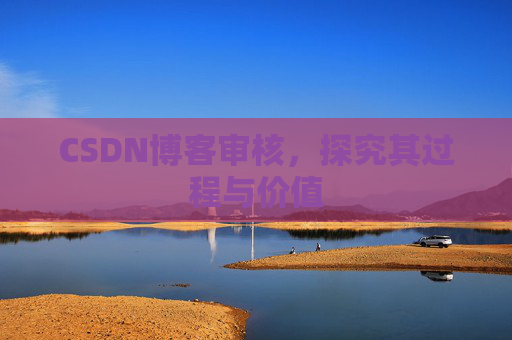 CSDN博客审核,探究其过程与价值